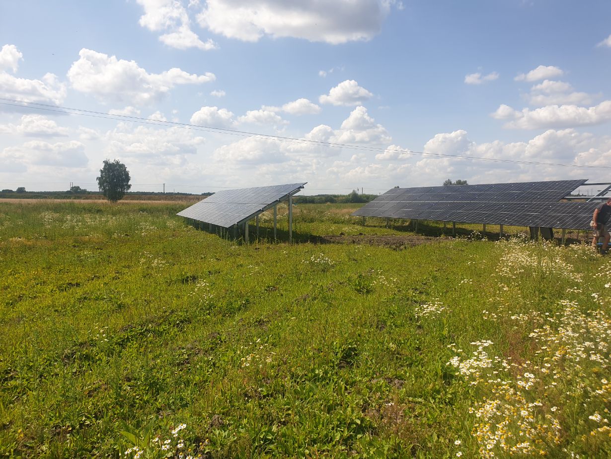 Zdjęcie przedstawia pole z panelami słonecznymi ustawionymi w rzędach na tle nieba z chmurami. Panele są zamontowane na metalowych stelażach, a wokół nich rośnie trawa i kwiaty. Na zdjęciu widać również osobę stojącą obok paneli.