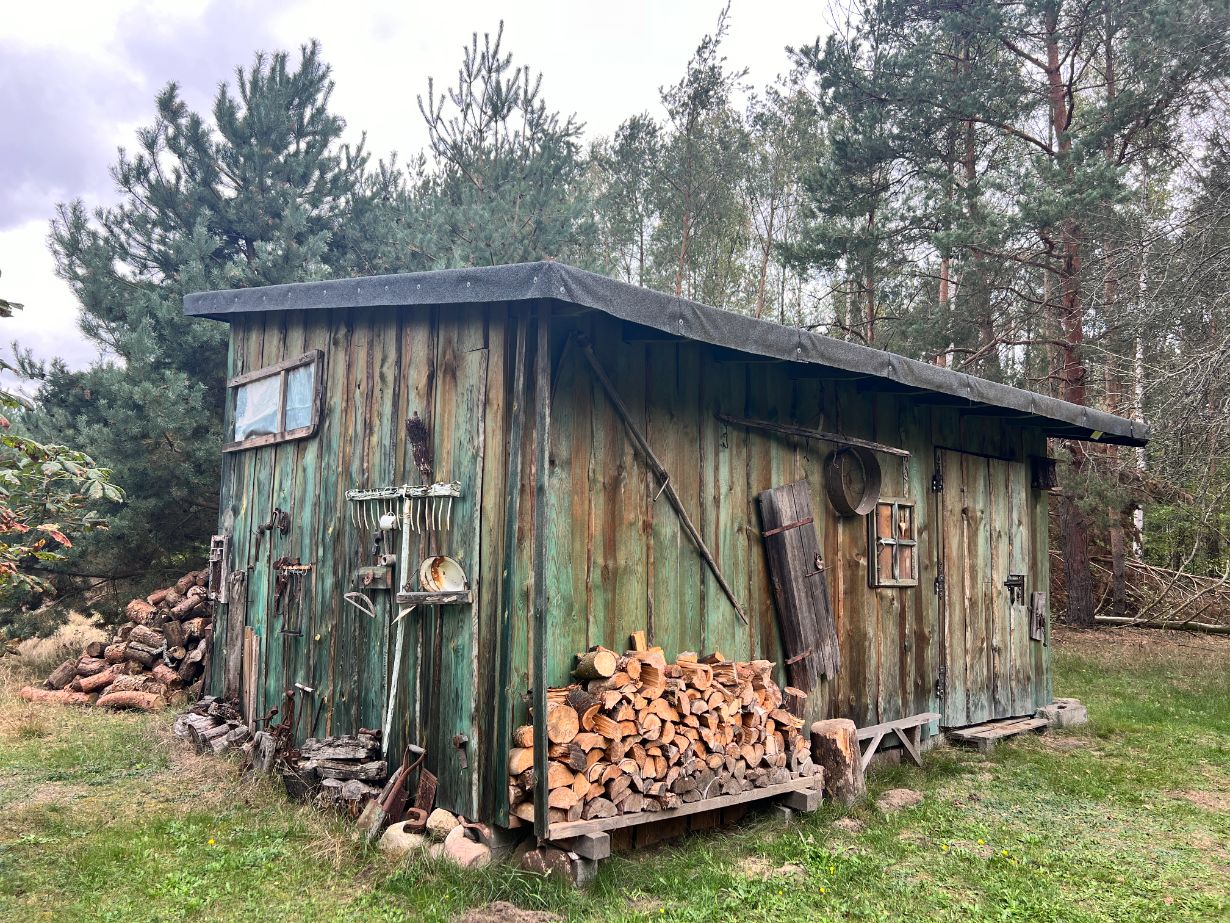 Drewniana szopa w lesie, z narzędziami ogrodniczymi wiszącymi na ścianie i stosami drewna opałowego obok. Szopa ma zielonkawy odcień, a wokół niej rosną drzewa iglaste.