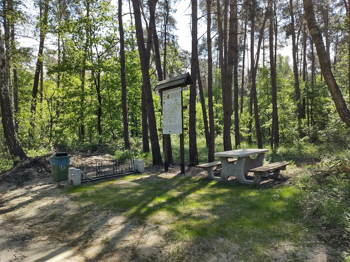 Obraz przedstawia leśny teren z małym miejscem odpoczynku. Znajduje się tam zielony kosz na śmieci, stojak na rowery, duża tablica informacyjna z mapą oraz betonowy stół piknikowy z ławkami. Scena jest dobrze oświetlona, a światło słoneczne przenika przez drzewa, tworząc spokojną atmosferę.